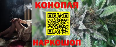 герыч Кингисепп