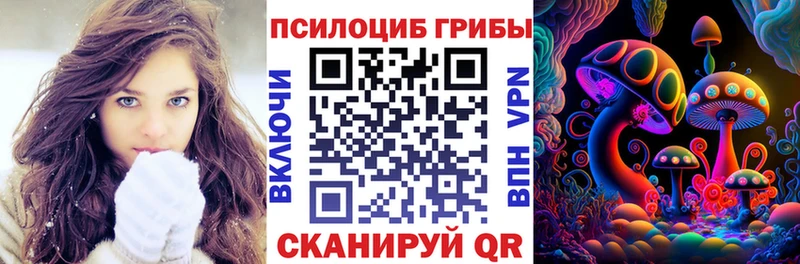 Галлюциногенные грибы Psilocybine cubensis Новый Уренгой